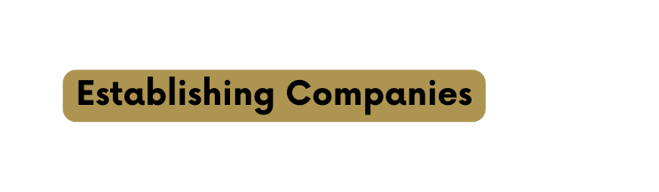 Establishing Companies